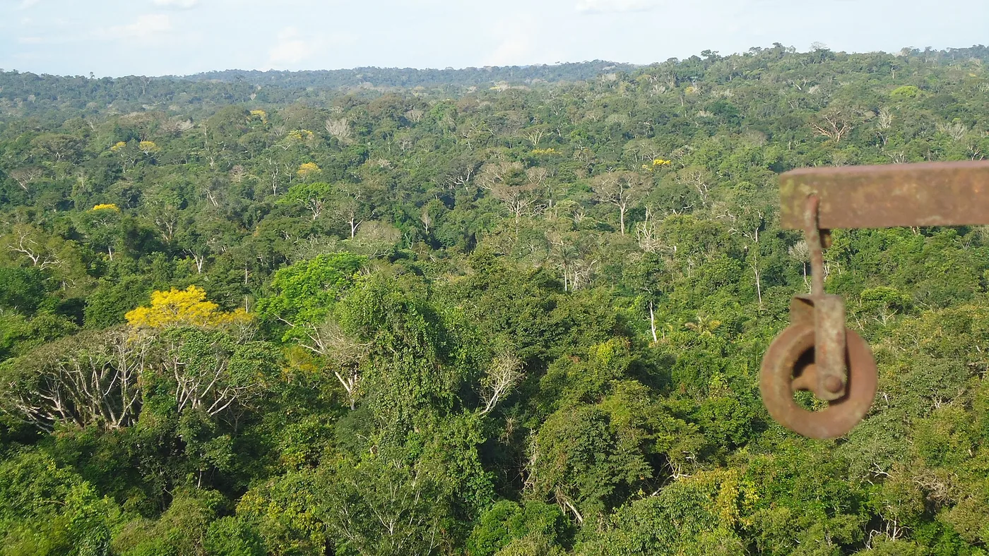 Mitologia Tupi-Guarani sobre Origem dos Animais